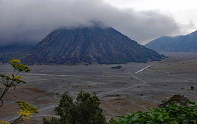 Lava View Lodge view
