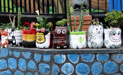 Garden/Bromo
