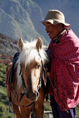 Man with horse