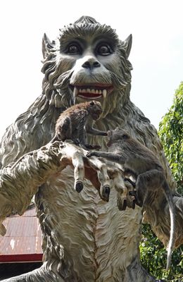 Alas Kedaton Monkey Forest