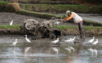 Tilling the soil