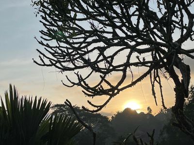 Sunrise