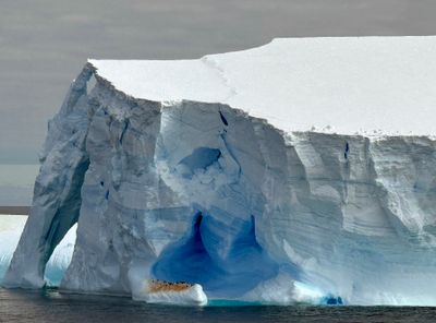 Iceberg with penguins 