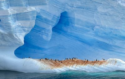 Iceberg with penguins 