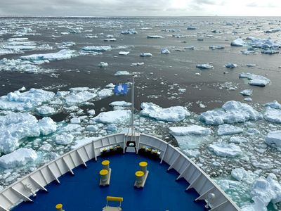 Ice field