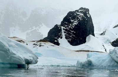 Cuverville Island