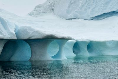 Cuverville Island