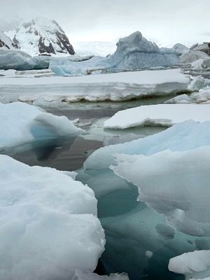Cuverville Island