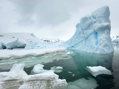 Cuverville Island