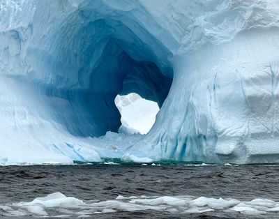 Cuverville Island 
