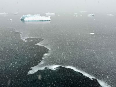Freezing sea