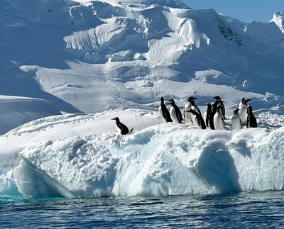 antarctica_2024