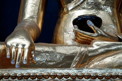 Buddha's hands