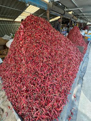 Red peppers