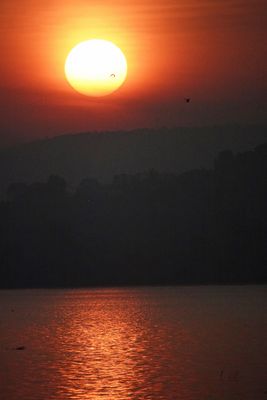 Sunrise, Nagarhole