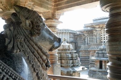 Bull, Hoysalelswara Temple
