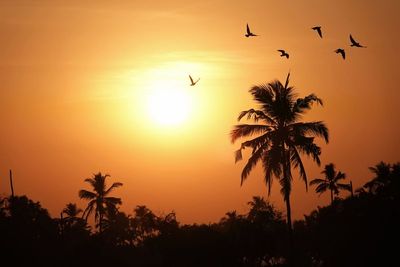 Sunset/Goa