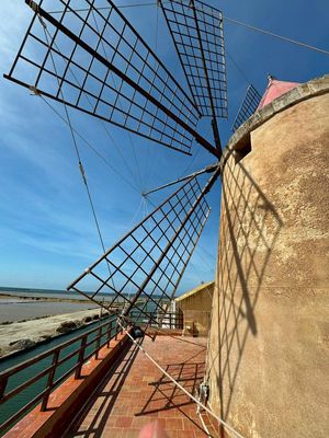 Windmill/Salt Museum