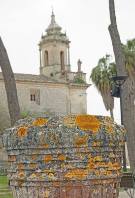 Lichen it