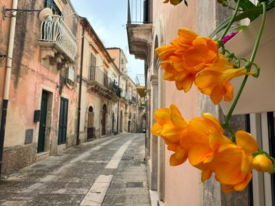 Freesia/Ragusa Ibla