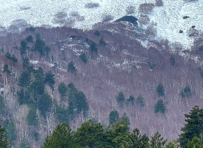 Below Mt. Etna