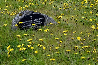 Cemetery headstone/Akureyri