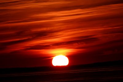 DSC06617r1.jpg