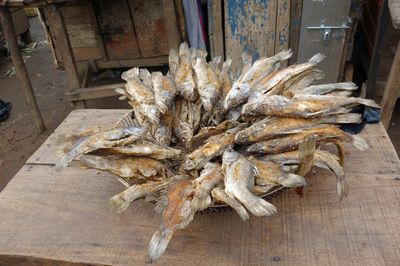 Fish