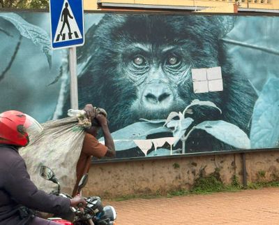 Gorilla watch