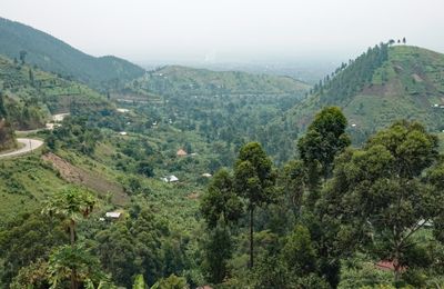 Landscape