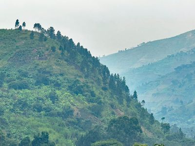 Hills