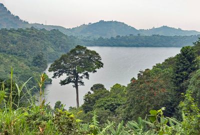 Lake Nkugute