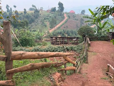Land and homes