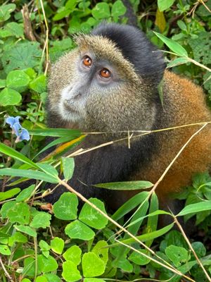 rwanda2025