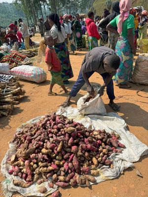 Potatoes