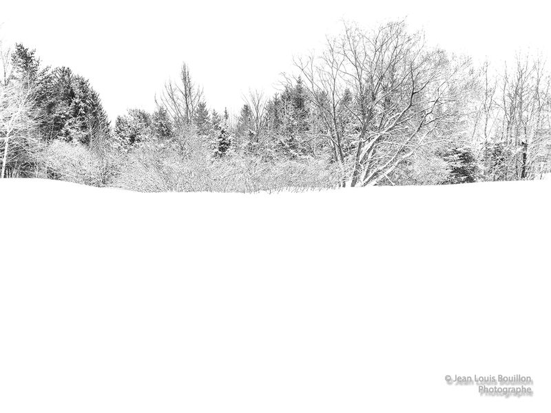 Neige
