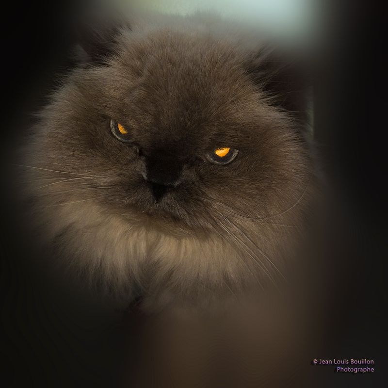 Oskar