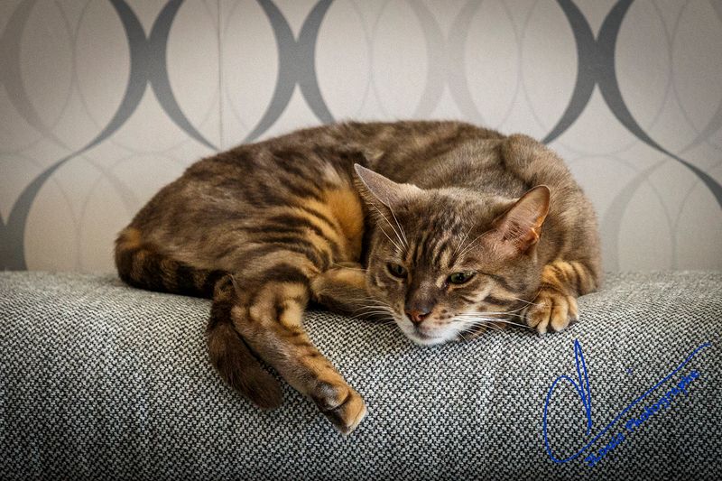 Blue, relaxing