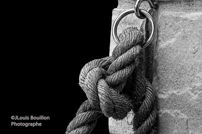 Knot