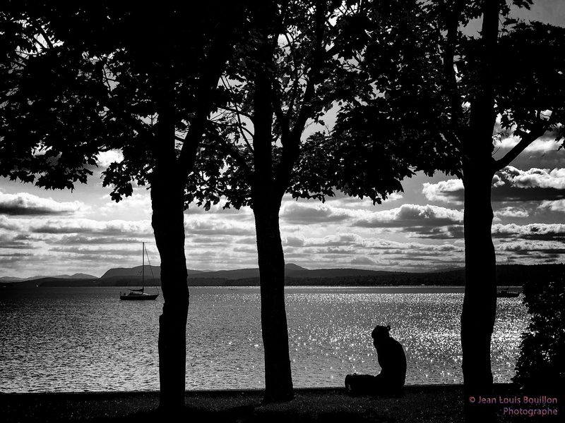 Noir et Blanc / Black and white