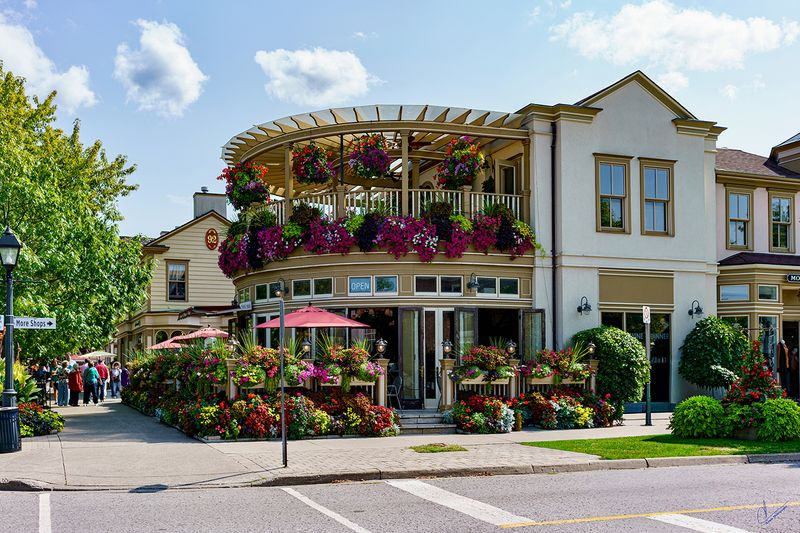 Flowers in Niagara On The Lake