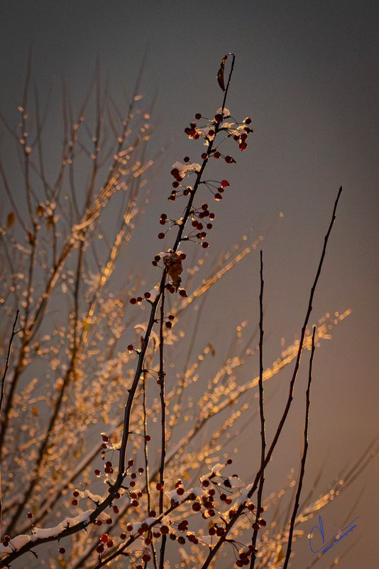 Sunset and Landsacape