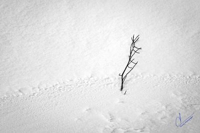 g13/50/6393950/3/174281692.244d0ae2.JPEG