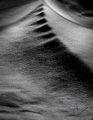 g13/50/6393950/3/175188363.558f27b1.JPEG