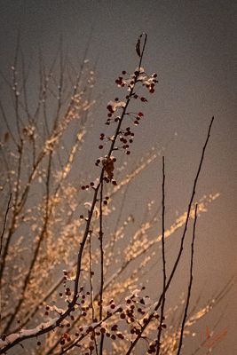 Sunset and Landsacape