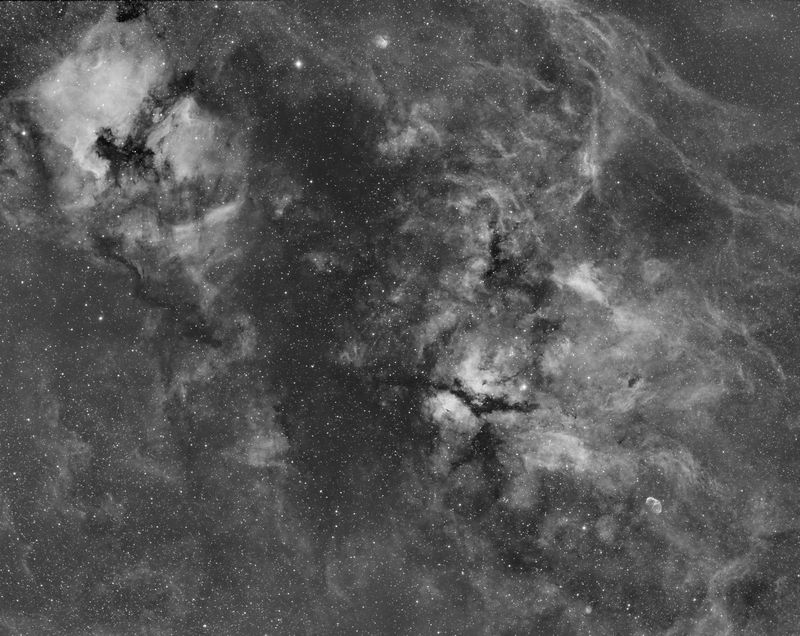 Cygnus area widefield