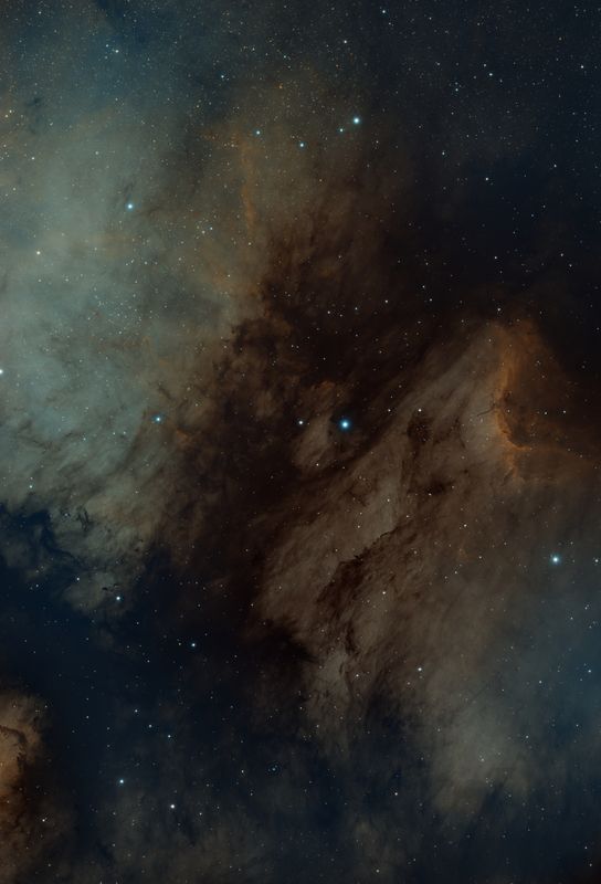 Pelican Nebula area Bi-color 