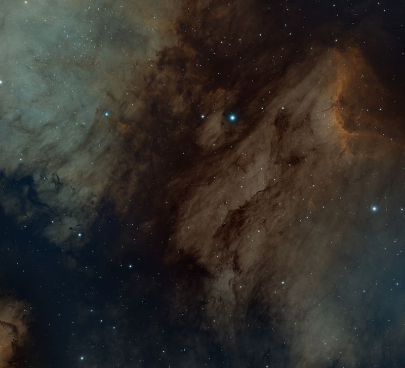 Pelican Nebula area Bi-color crop