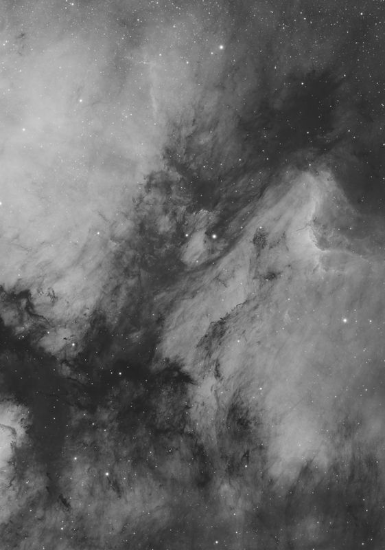 Pelican Nebula area in Ha