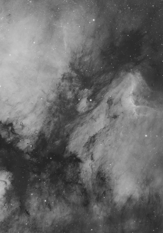 Pelican Nebula area in Ha
